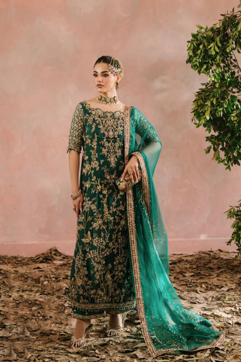 MEHRMA | Pure Sheesha Silk | Fashion Fusion